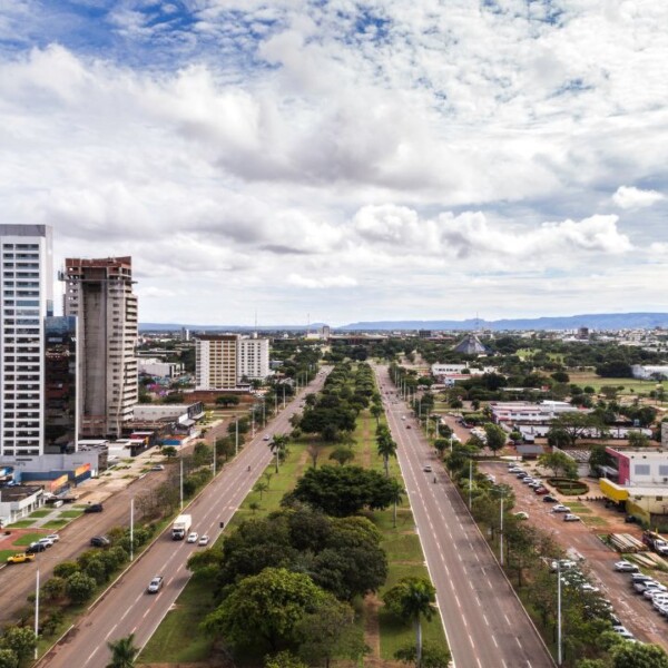 Palmas