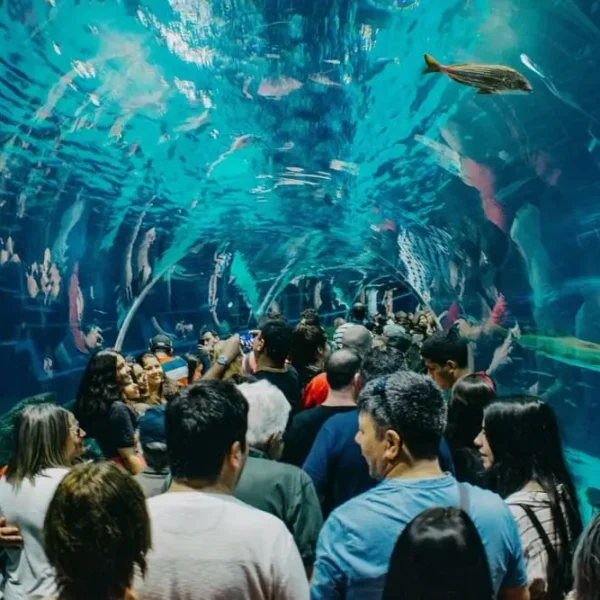 crianças no rio de janeiro
