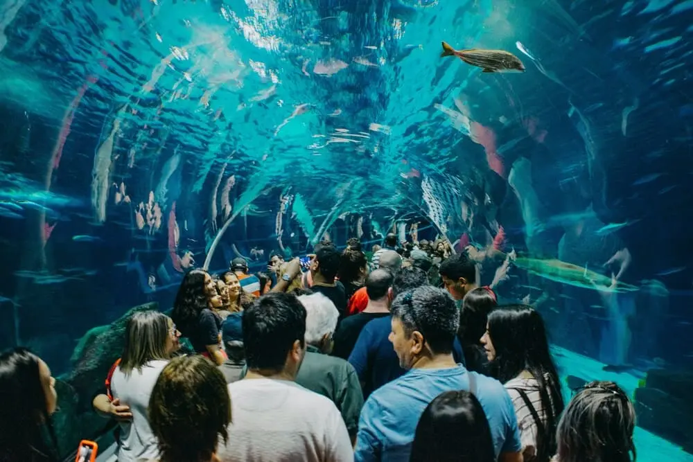 crianças no rio de janeiro